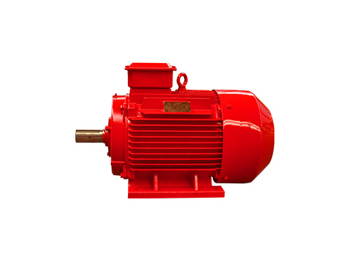 Everything You Need to Know About Fire Pump Motors